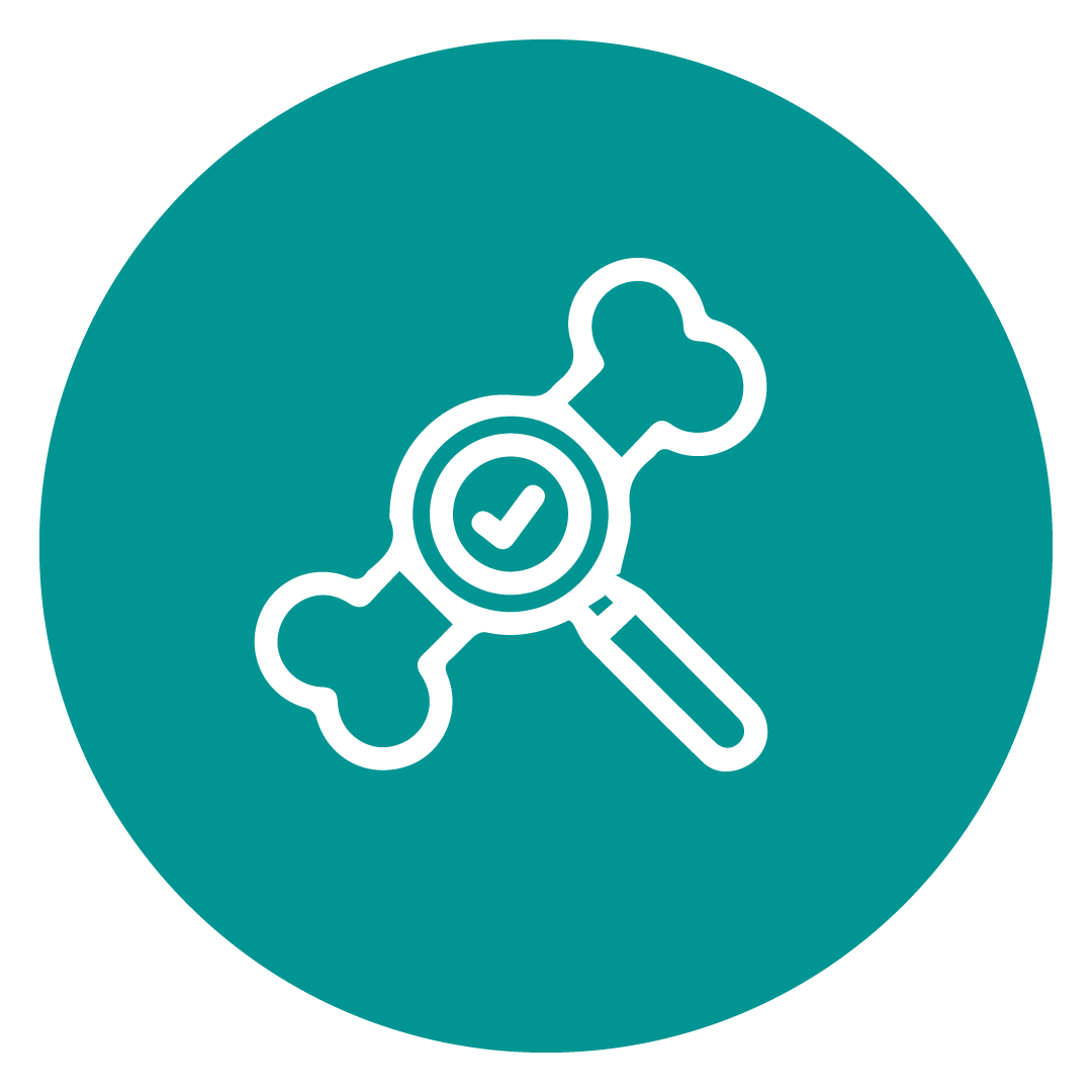 Densitometría Ósea